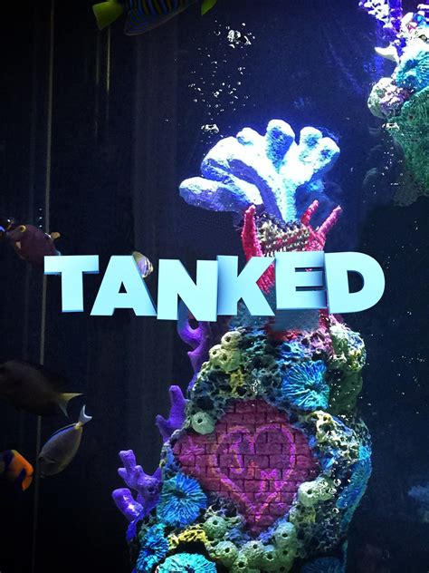 Tanked: Season 11 (2017) — The Movie Database (TMDB).